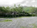 20130512_183700.jpg
