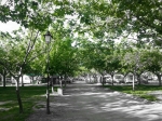 20130512_193110.jpg