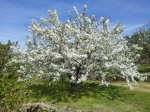 20130420_163700_.jpg