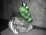 IMG-20130512-WA0025.jpg
