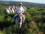 Paseos a caballo 1.JPG